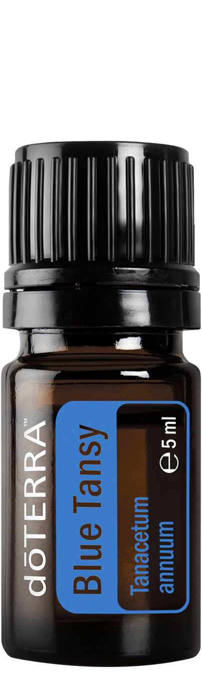 Blue Tansy Essential Oil – 5 ml