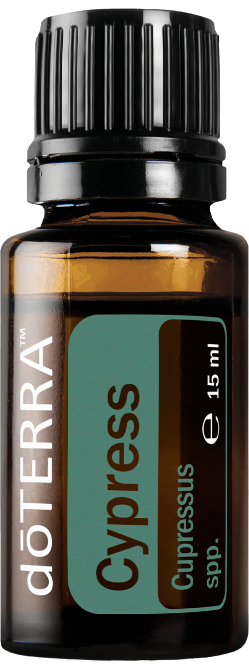 Cypress Essential Oil - 15 ml