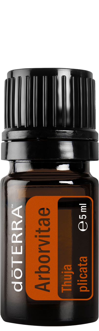 Arborvitae essential oil 5 ml