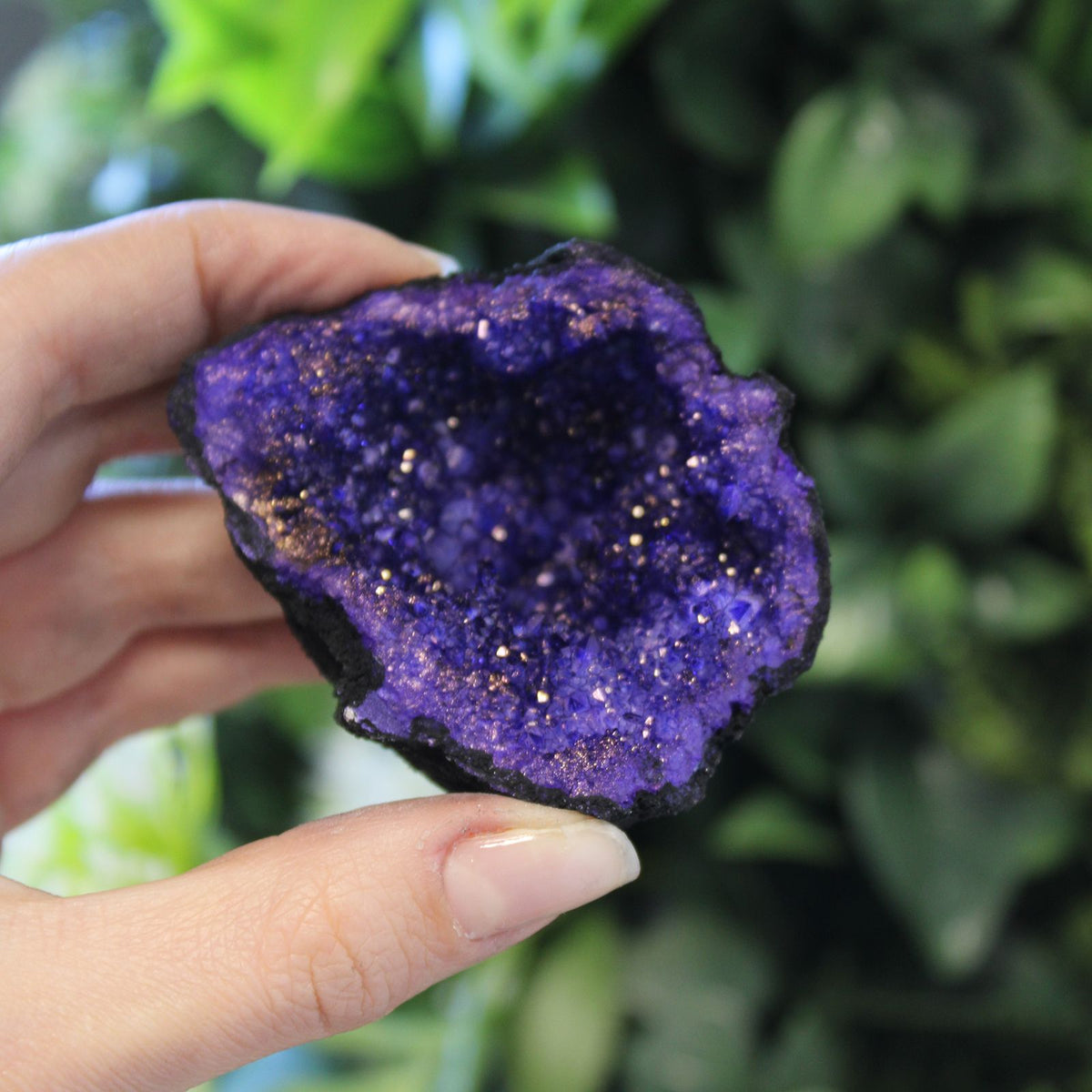Coloured Calcite Geodes - Black Rock - Turquoise / Purple