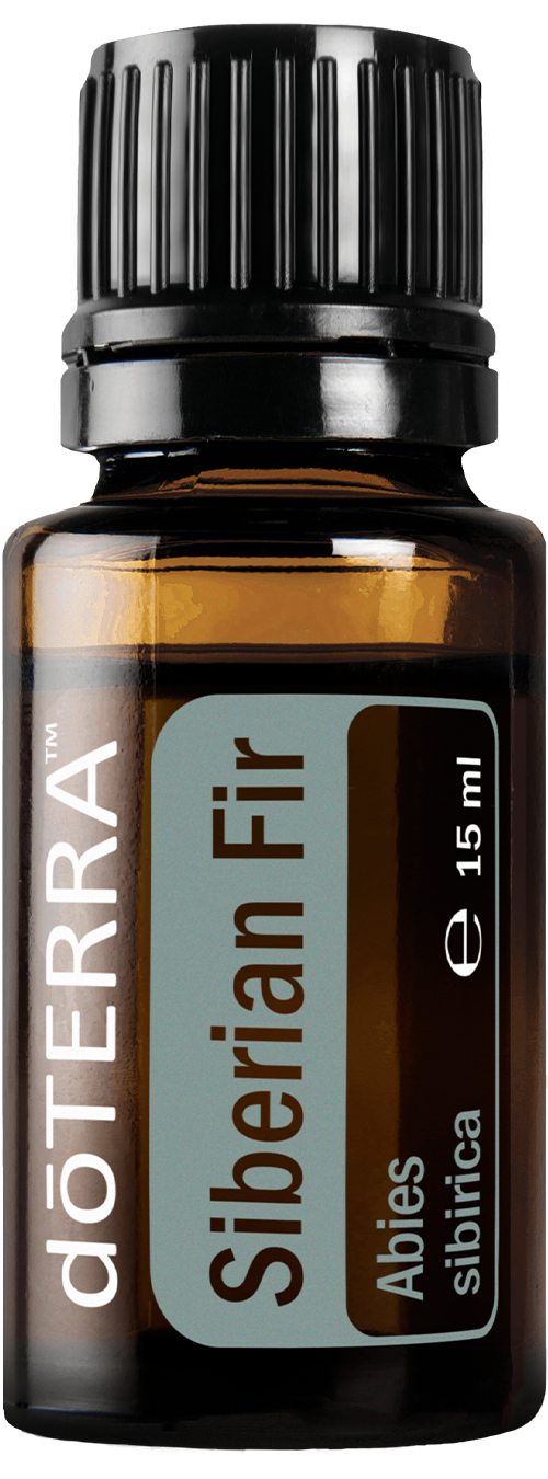 Siberian Fir Essential Oil - 15 ml bottle