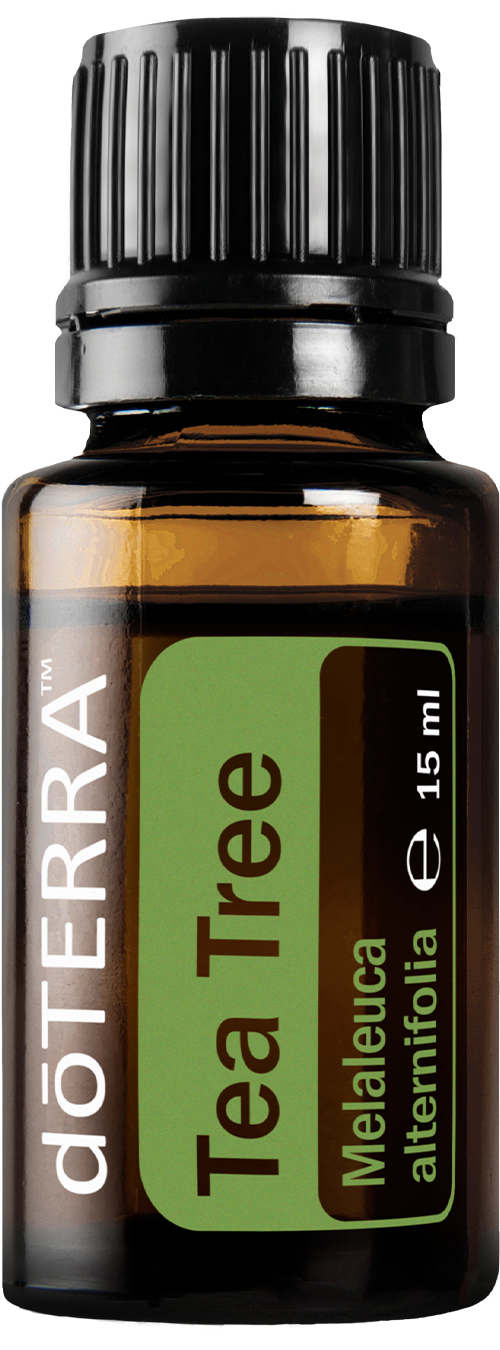 Tea Tree Essential Oil - 15 ml bottle
