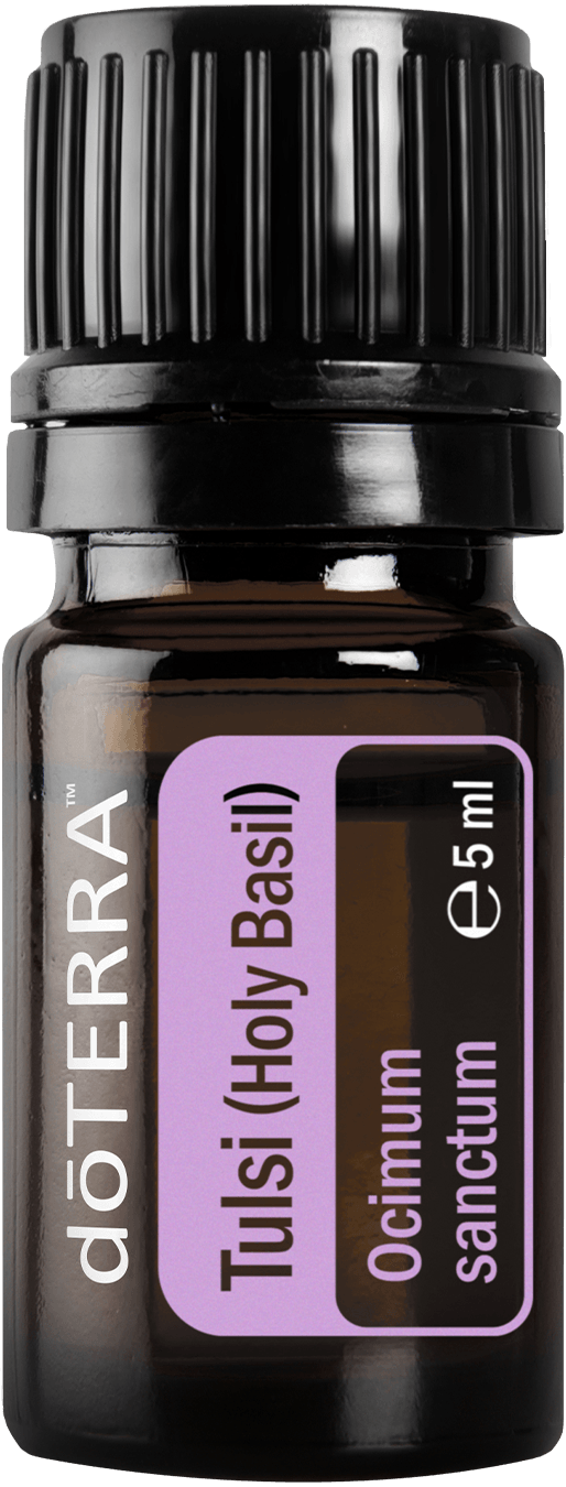doTERRA Tulsi essential oil